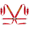 Cinto Sabelt Steel 3x2